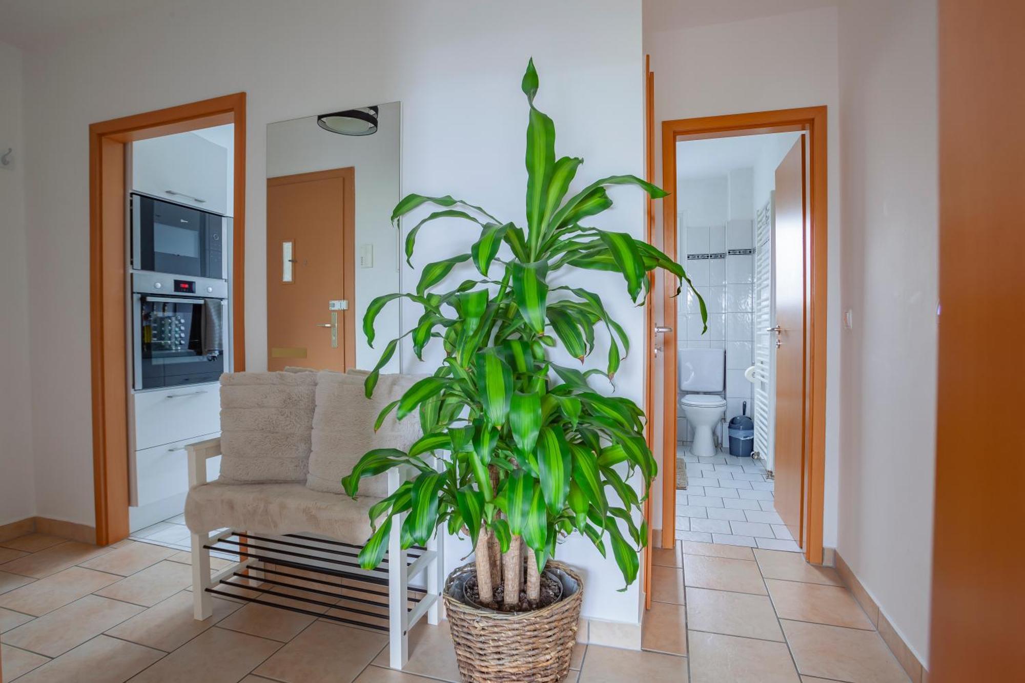 Exclusive 2-Room-City-Apartment - Contactless Check-In Hanôver Exterior foto